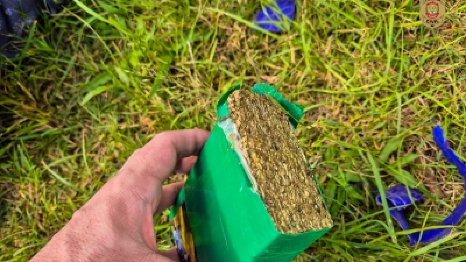 PCDF deflagra operação para coibir o tráfico de drogas na “Feira do Rolo” de Samambaia