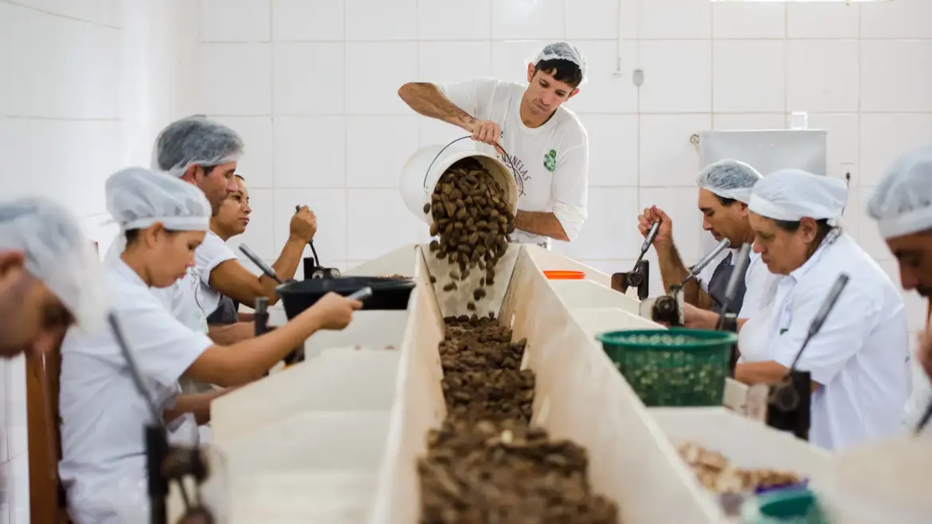 Nova lei reconhece cooperativismo como manifestação da cultura nacional — Senado Notícias