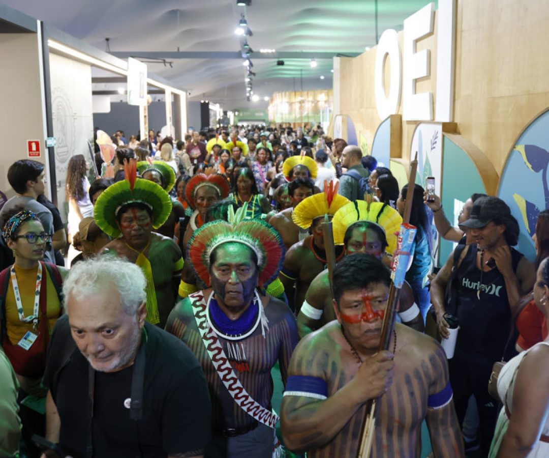 Senado participa de discussões e lança obras de temática ambiental na COP 30 — Senado Notícias