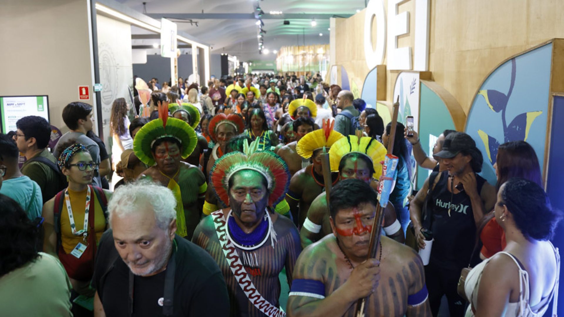 Senado participa de discussões e lança obras de temática ambiental na COP 30 — Senado Notícias