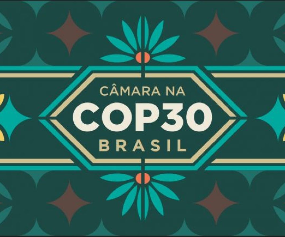 cop30-1-768x435.jpg
