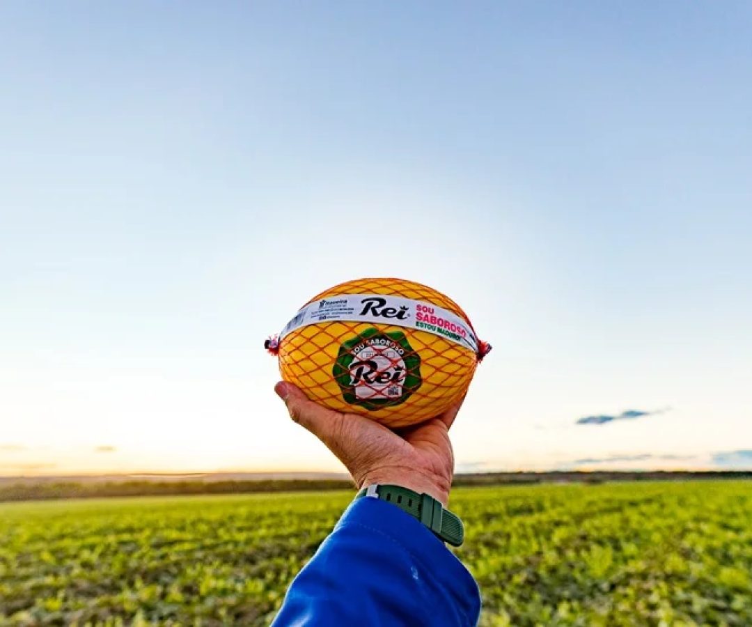 Melão embalado em redinha da marca Rei, da empresa Itaueira.