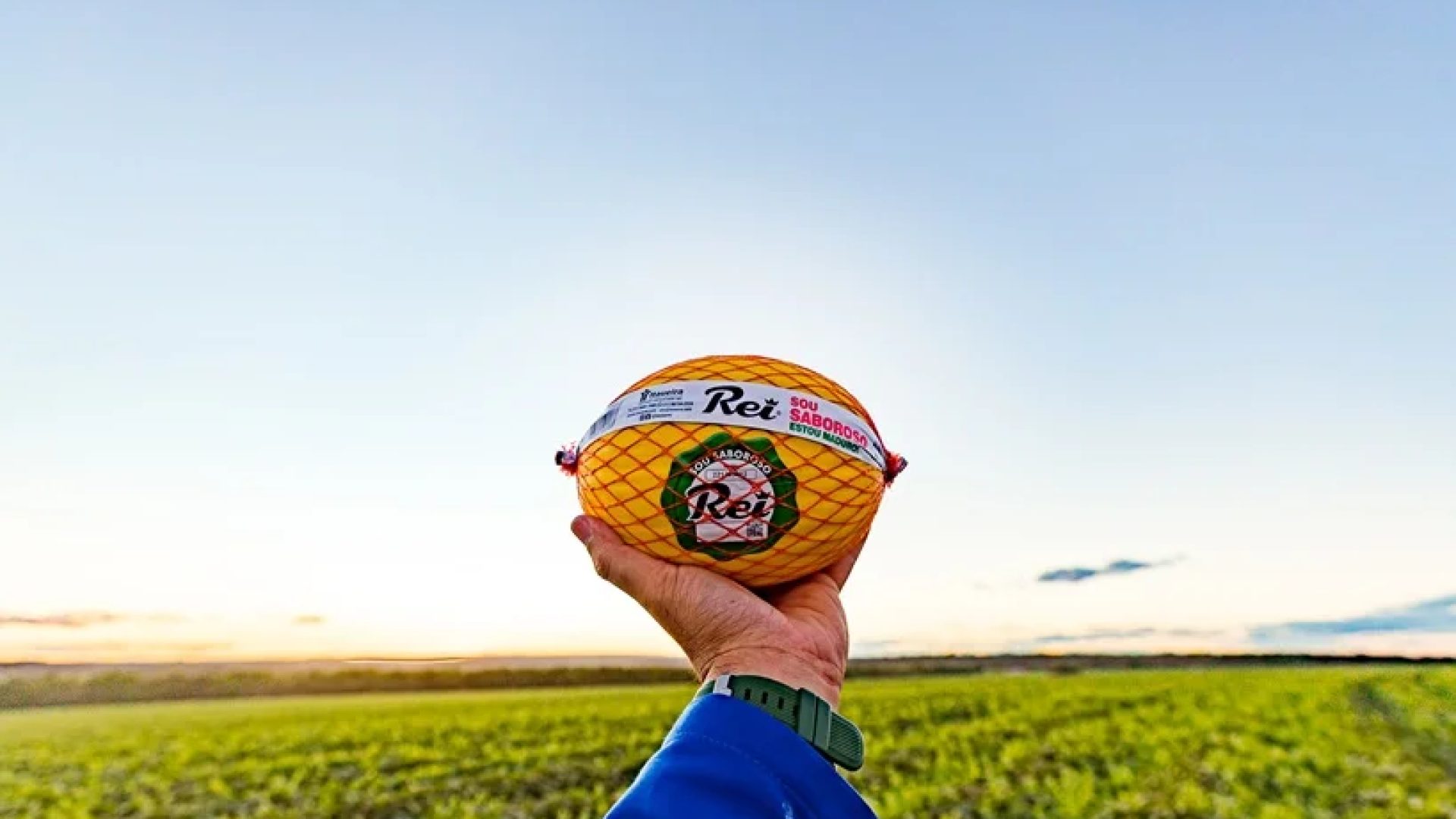 Melão embalado em redinha da marca Rei, da empresa Itaueira.