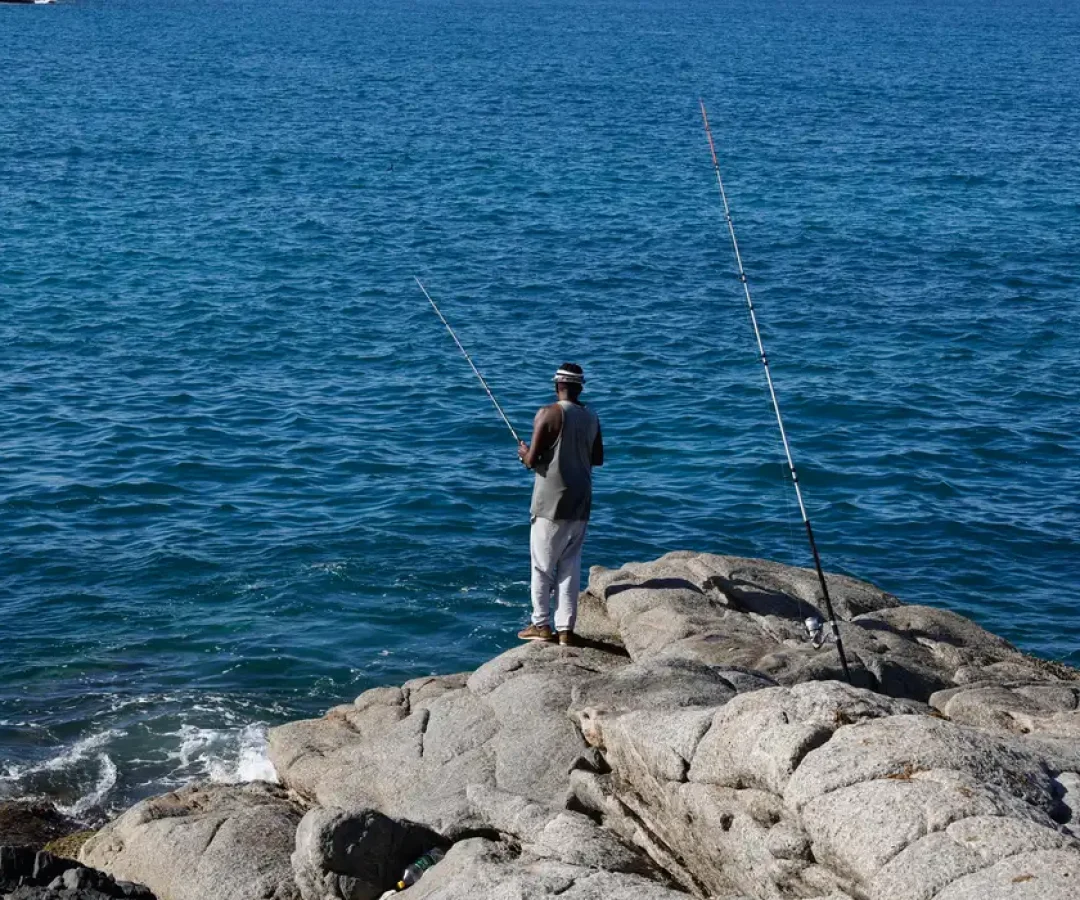 d6a1048_1.webp.webp