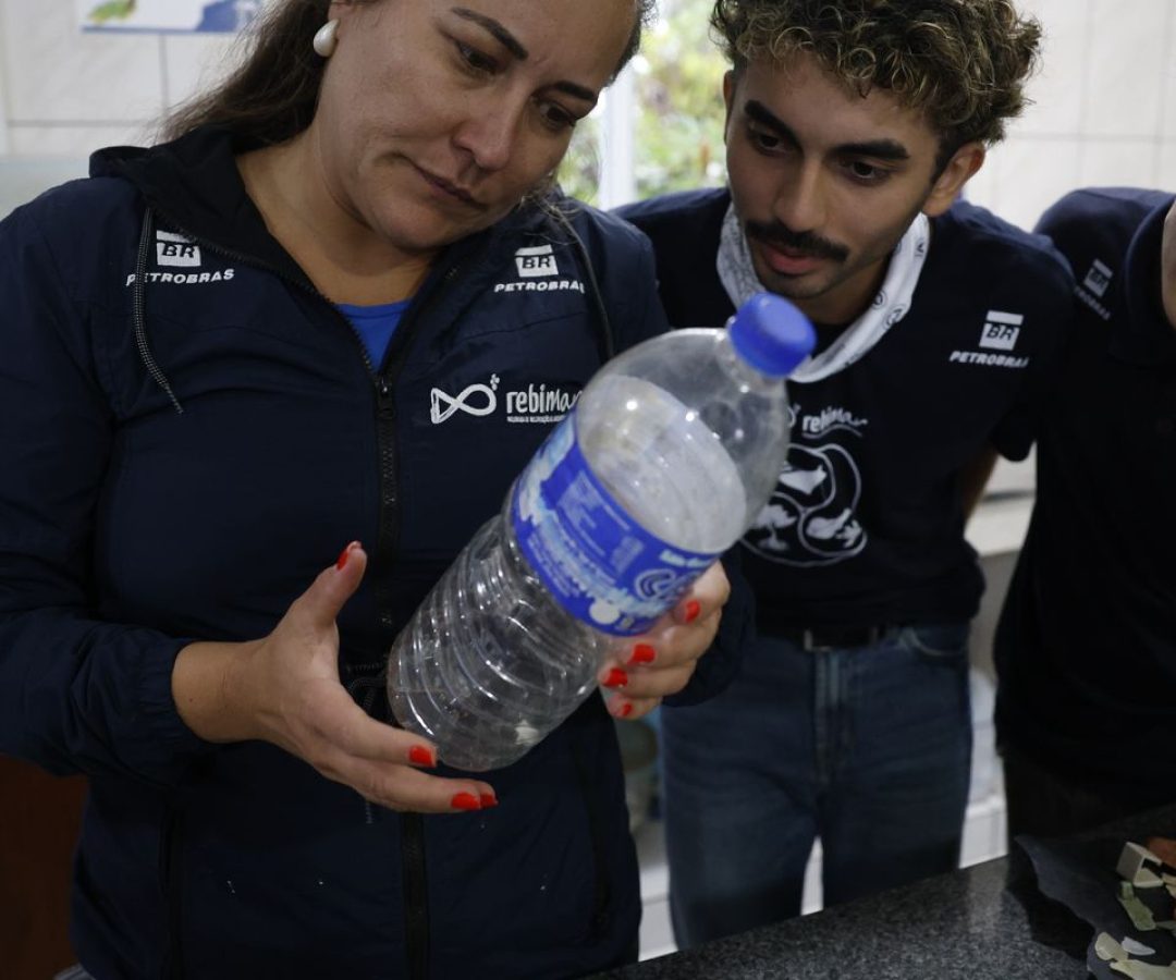 Mais de 93% dos peixes vendidos no litoral do Paraná têm microplástico