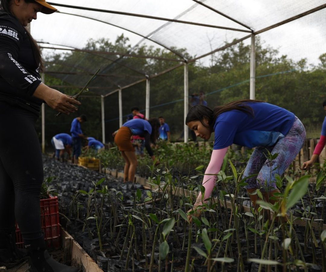 Governo fecha parceria para expandir energia renovável na Amazônia