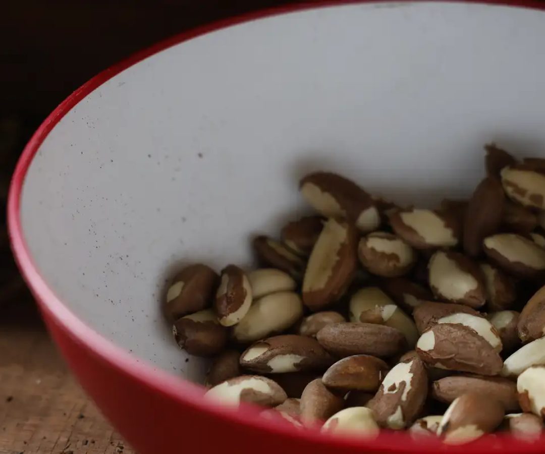 Agricultura familiar do Nordeste vai à maior feira mundial alimentos