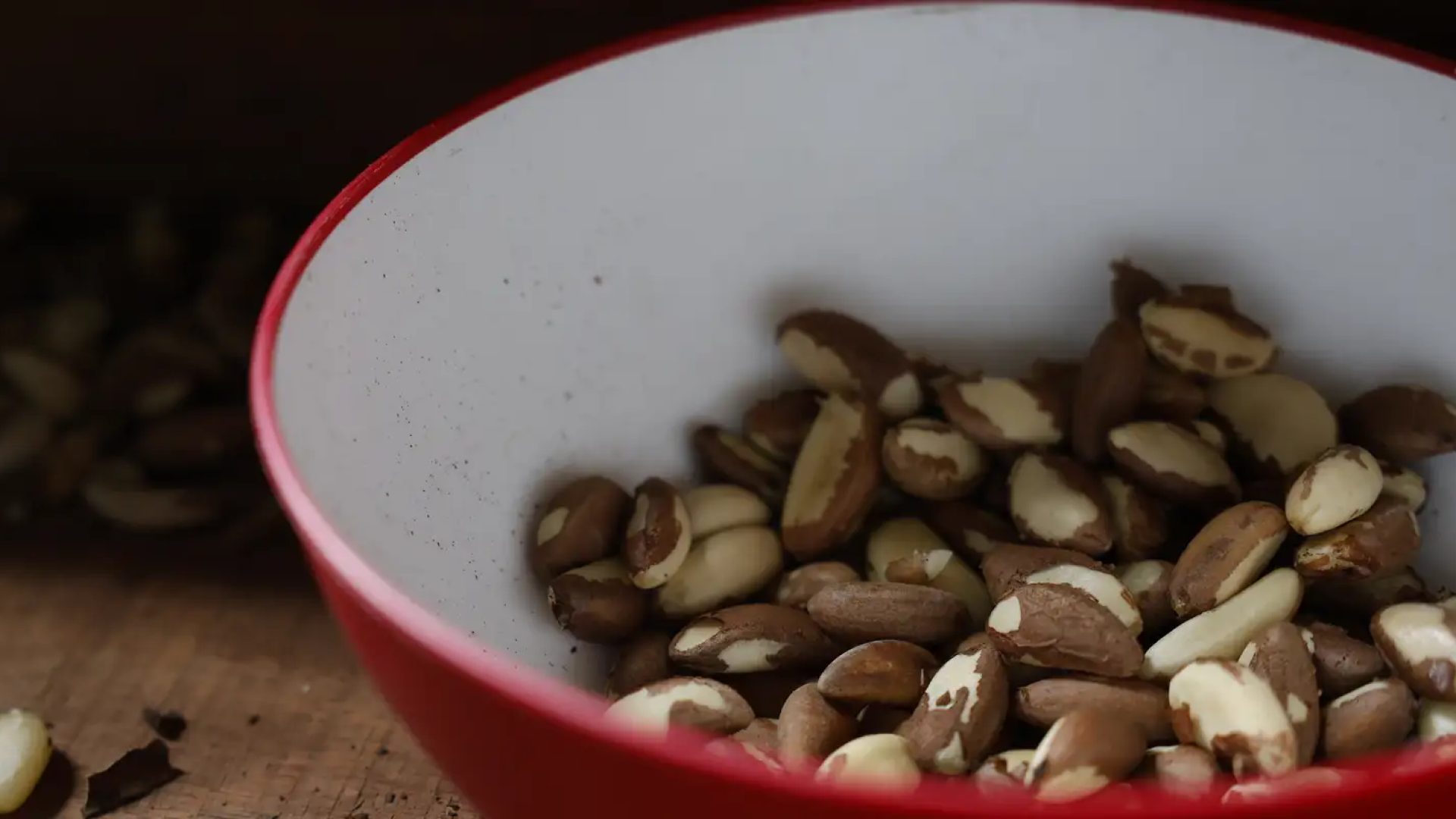 Agricultura familiar do Nordeste vai à maior feira mundial alimentos