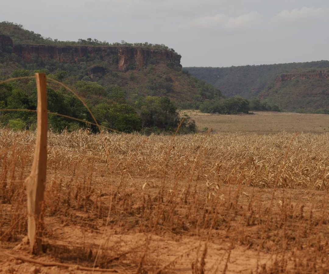 Fronteira Cerrado: acesso desigual ao Estado agrava conflitos agrários