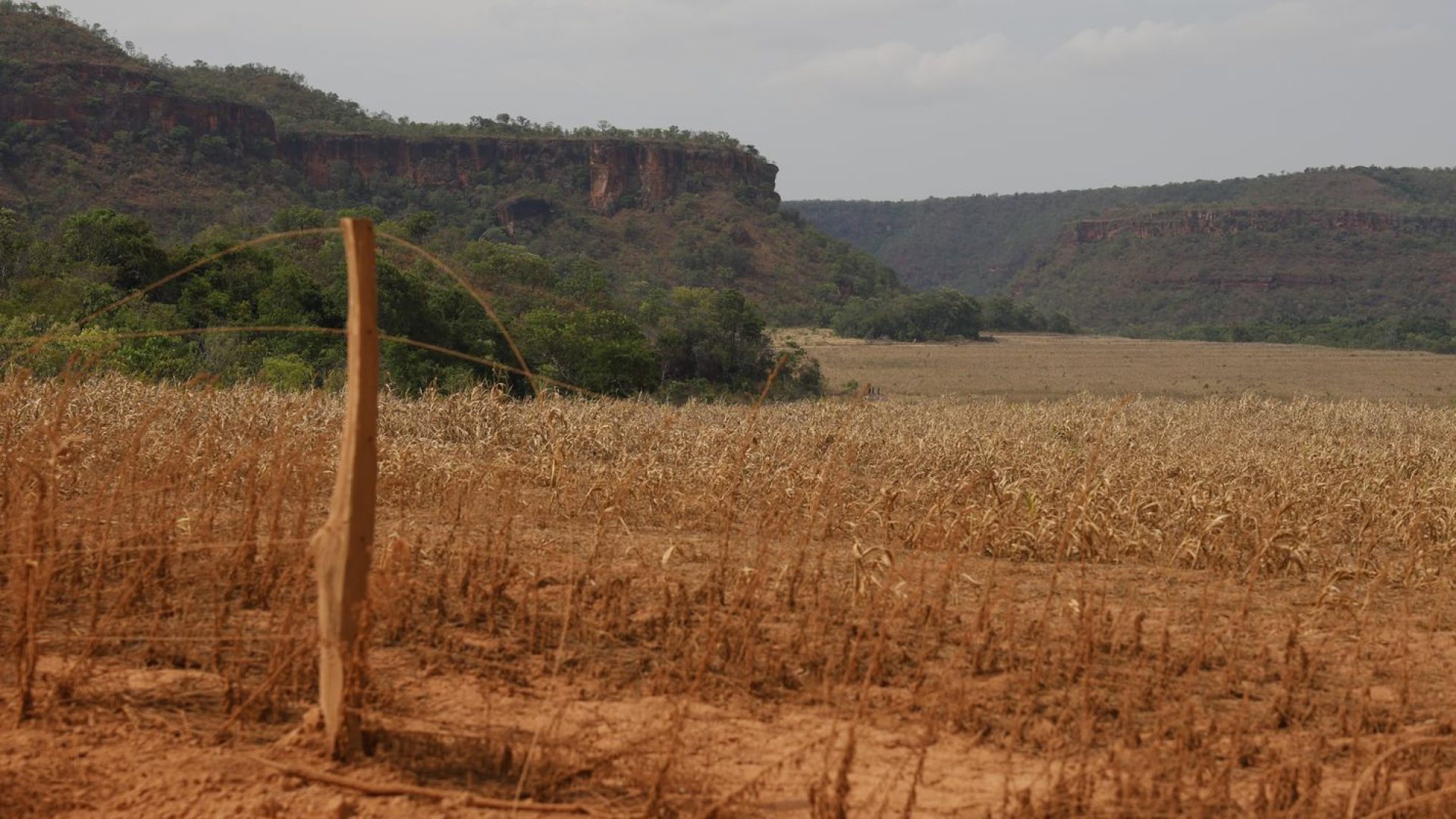 Fronteira Cerrado: acesso desigual ao Estado agrava conflitos agrários
