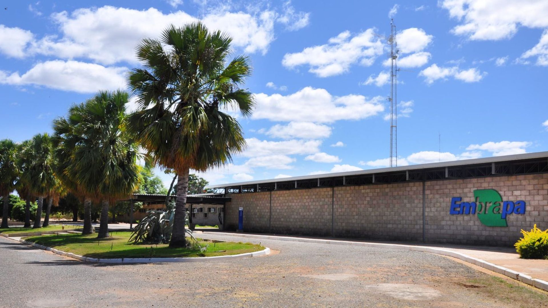 Aplicativo gratuito da Embrapa ajuda a planejar barragens no semiárido