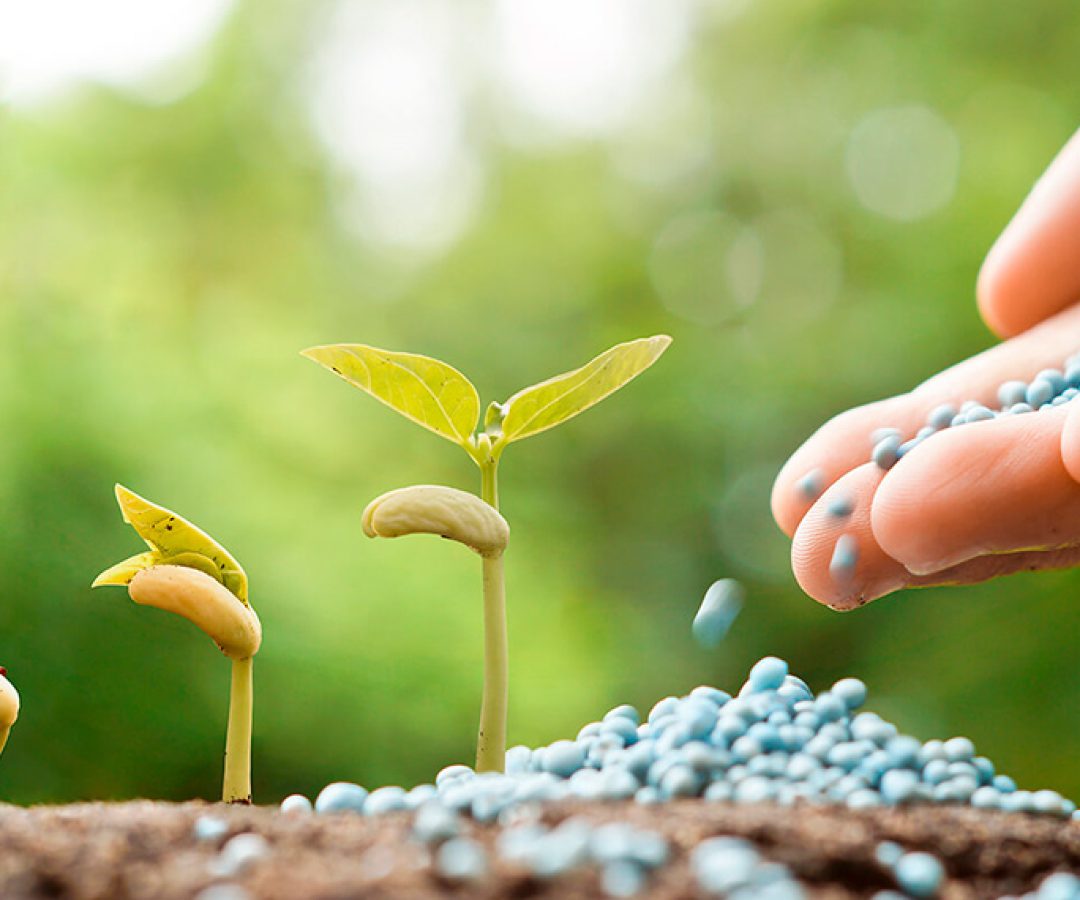 As análises de fertilizantes, corretivos, condicionadores, substratos e resíduos com potencial de uso agrícola asseguram ao agricultor que as quantidades recomendadas e aplicadas irão suprir as necessidades das plantas para os nutrientes presentes no fertilizante, que o corretivo irá produzir o efeito desejado, e a ausência de contaminantes que possam acumular no solo.