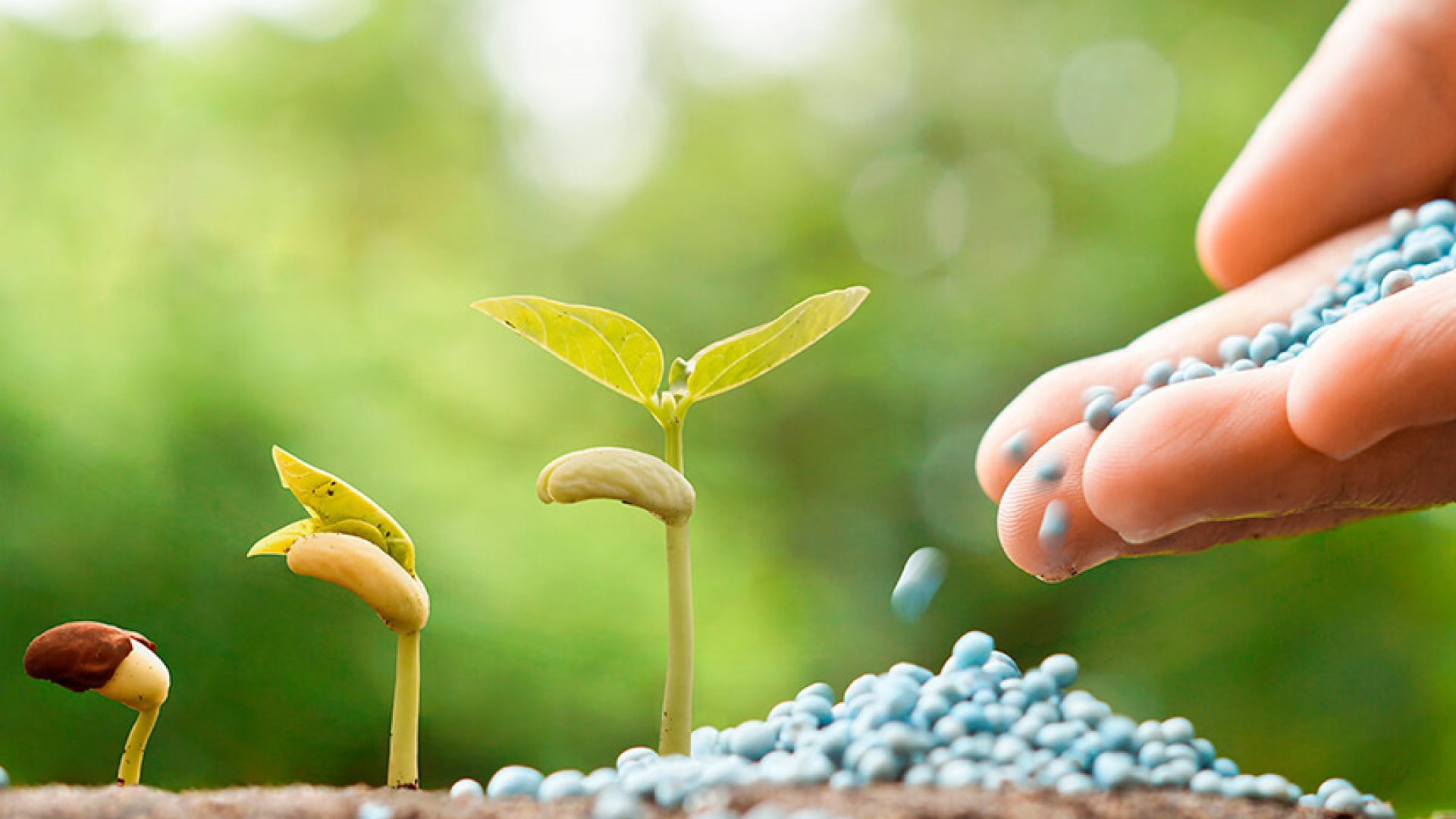 As análises de fertilizantes, corretivos, condicionadores, substratos e resíduos com potencial de uso agrícola asseguram ao agricultor que as quantidades recomendadas e aplicadas irão suprir as necessidades das plantas para os nutrientes presentes no fertilizante, que o corretivo irá produzir o efeito desejado, e a ausência de contaminantes que possam acumular no solo.