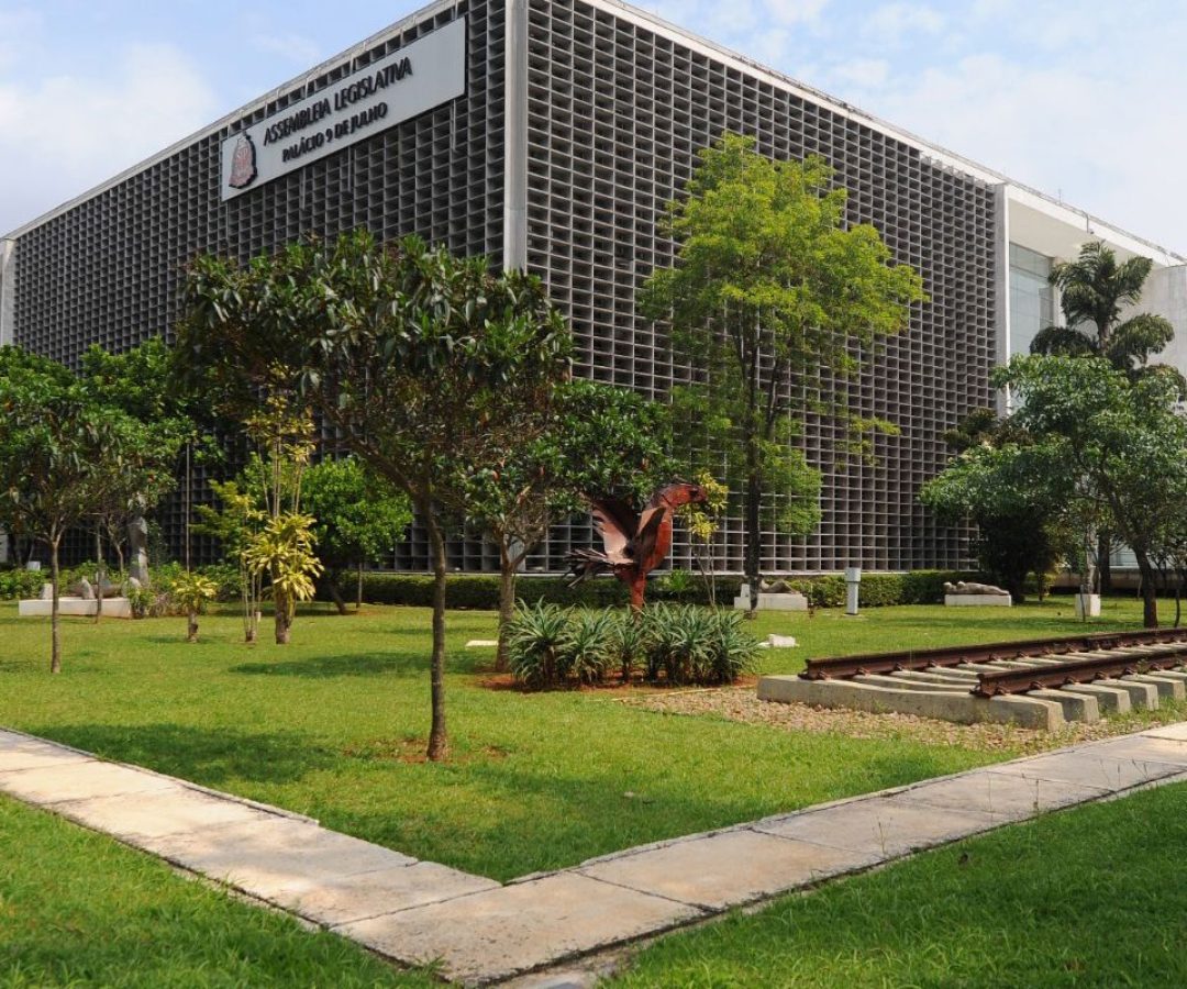Mais de 70 mulheres tiveram mandatos cassados em 10 anos no país