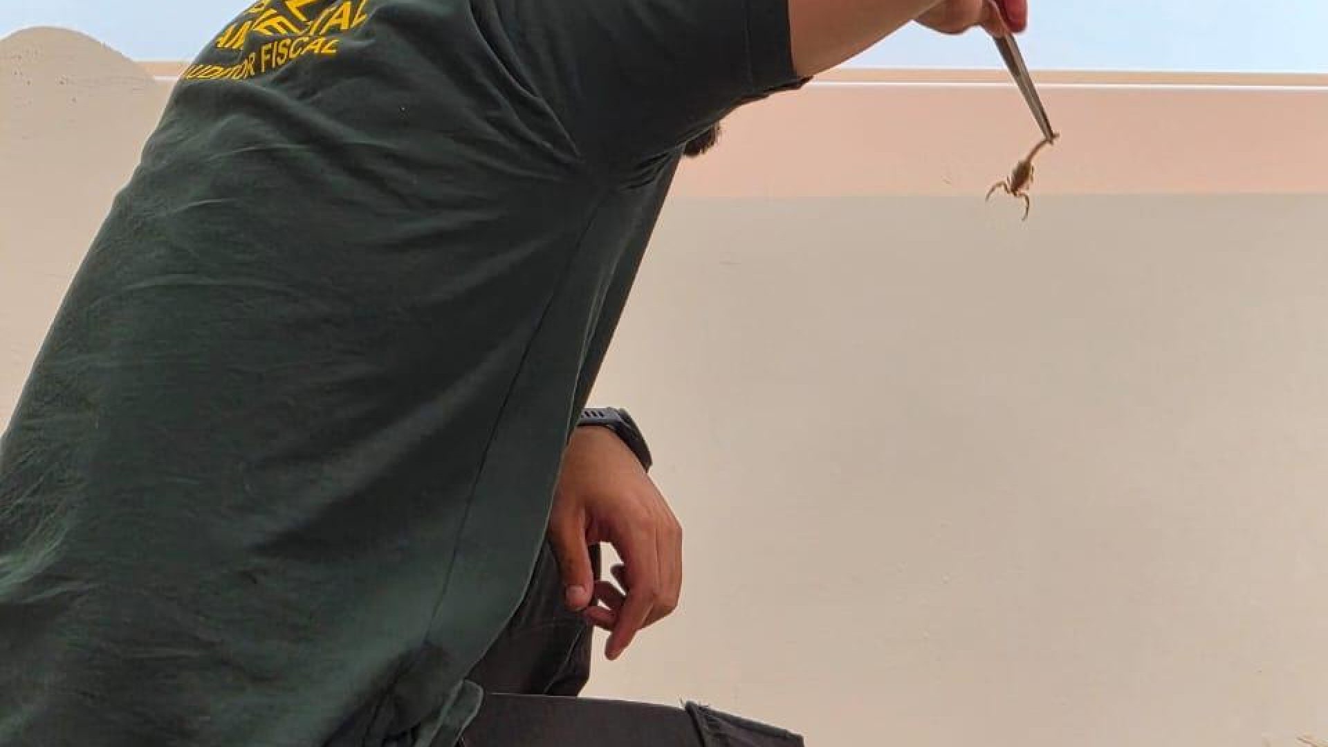 Fiscais do Brasília Ambiental participam de capacitação para o manejo de animais silvestres