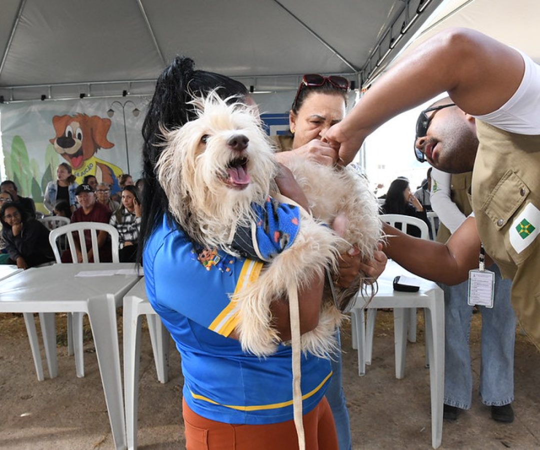 GDF Mais Perto do Cidadão leva serviços gratuitos ao Recanto das Emas