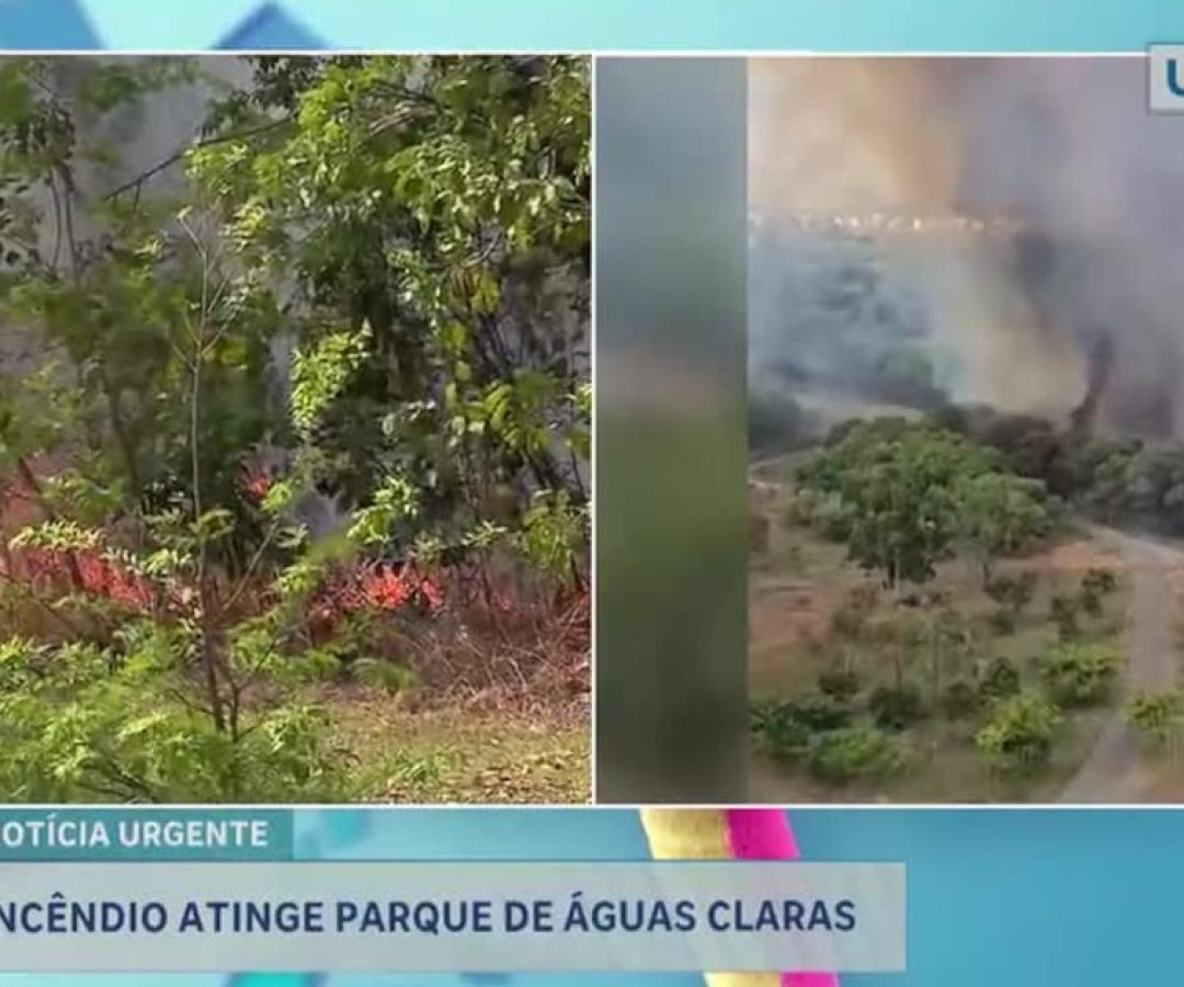 Incêndio assusta moradores e atinge área verde do Parque de Águas Claras, no DF – Noticias R7