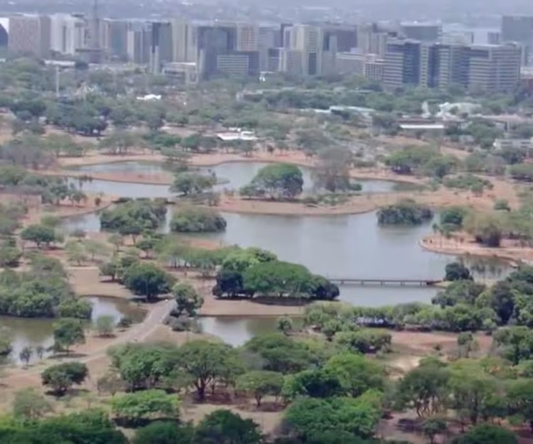 Parque da Cidade, em Brasília, celebra 47 anos de história neste sábado – Noticias R7