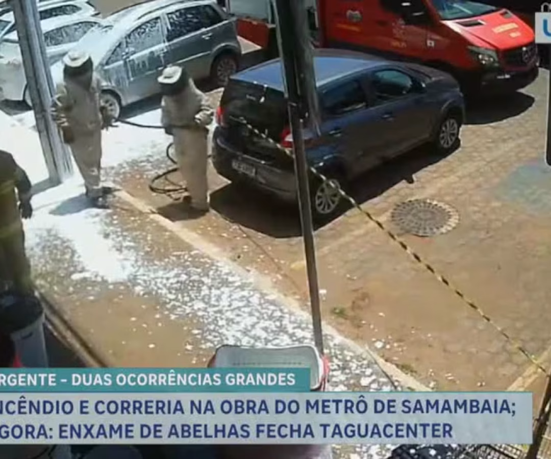 Enxame de abelhas africanas causa transtornos e fecha comércios em Taguatinga (DF) – Noticias R7