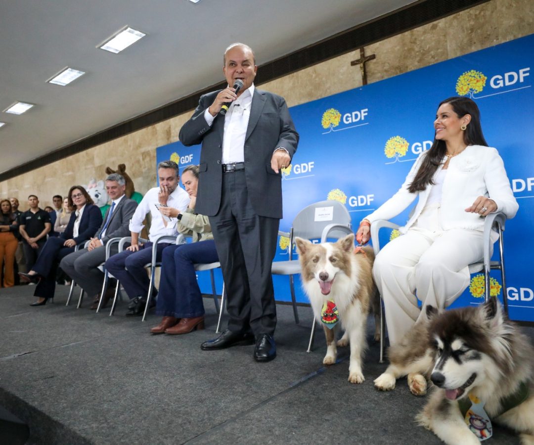 ​​​​​​​GDF cria política inédita de apoio aos protetores de animais com cartões Ração e Castração