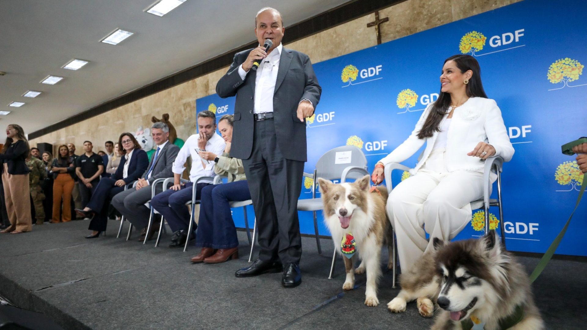​​​​​​​GDF cria política inédita de apoio aos protetores de animais com cartões Ração e Castração