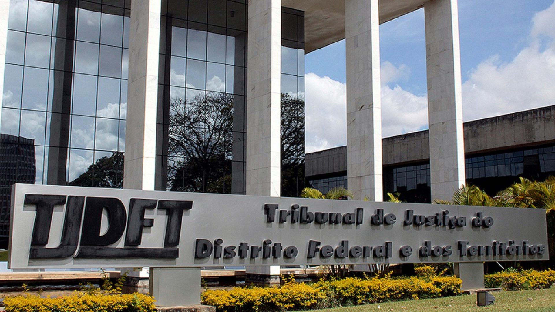 Justiça mantém condenação de empresa por morte de cachorro durante adestramento