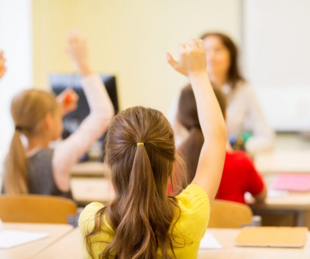 Educação - geral - sala de aula - magistério - professor - estudante com a mão levantada em durante aula