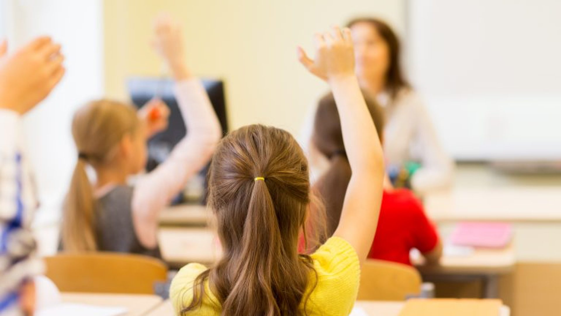 Educação - geral - sala de aula - magistério - professor - estudante com a mão levantada em durante aula