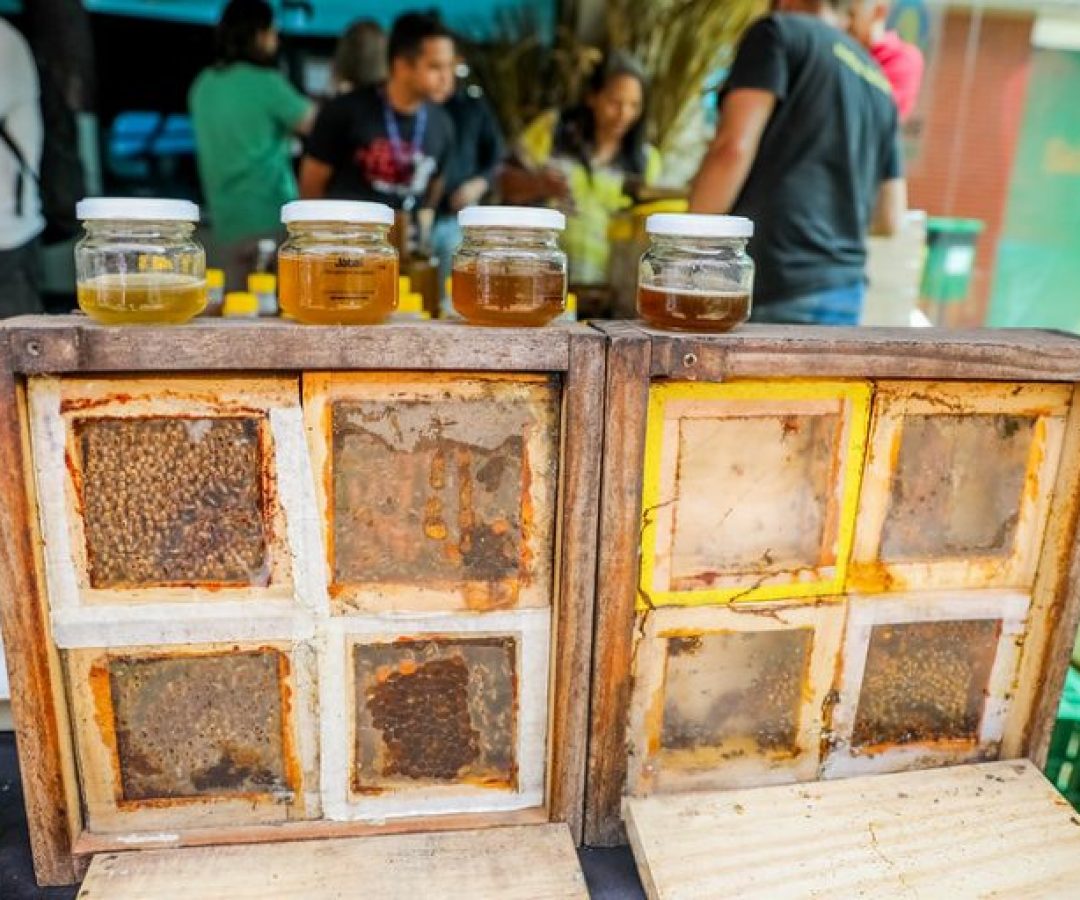 Alimentos - mel - mel de abelha - apicultura - apicultor - O Dia Nacional da Abelha é comemorado em 3 de outubro