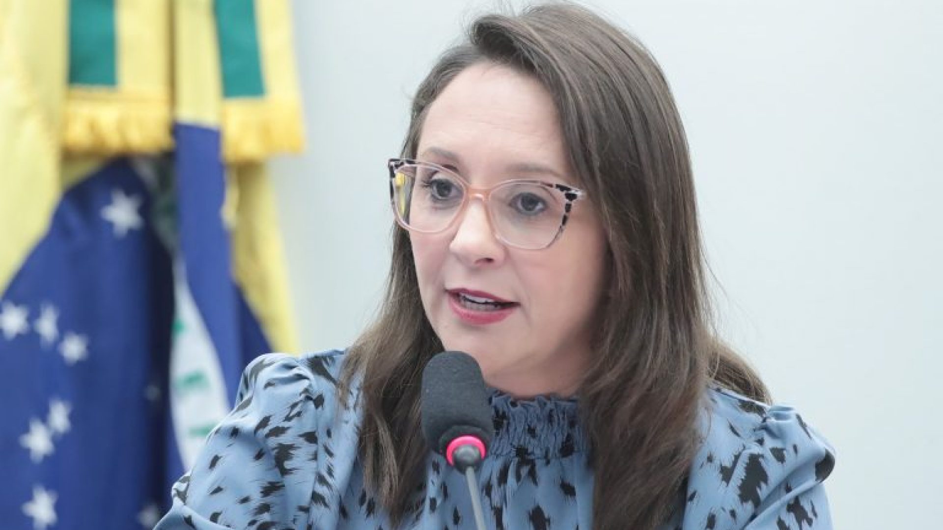 Audiência Pública - Perspectivas de novos medicamentos para pessoas com Transtornos do Espectro Autista – TEA. Dep. Renata Abreu (PODE - SP)