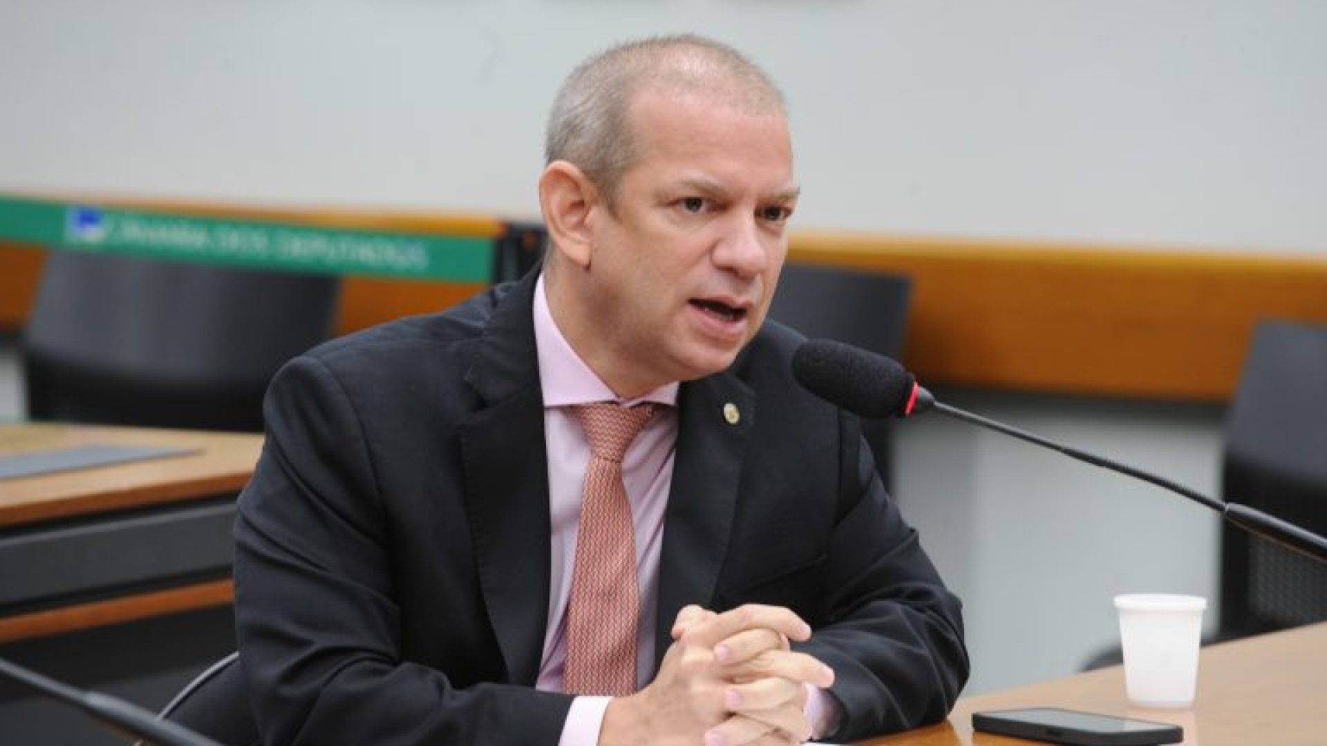 Audiência Pública - Promoção da Equidade e o Envelhecimento ativo e saudável para todos os povos. Dep. Castro Neto (PSD - PI)