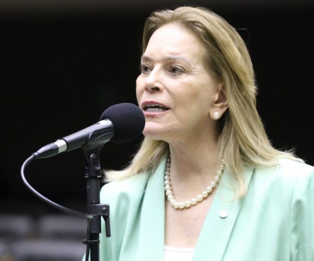 Discussão e Votação de Propostas Legislativas. Dep. Lêda Borges (PSDB - GO)