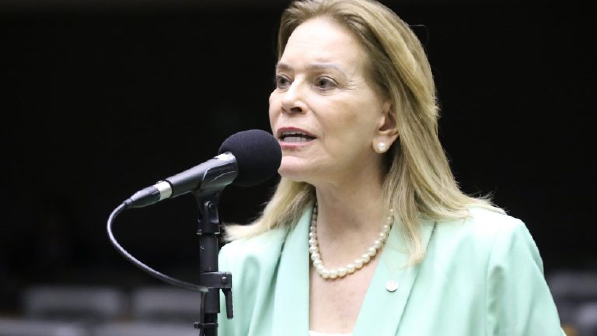 Discussão e Votação de Propostas Legislativas. Dep. Lêda Borges (PSDB - GO)