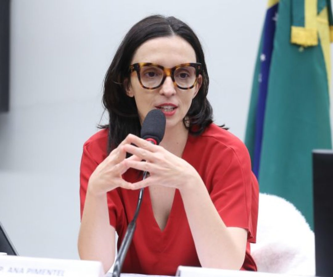 Audiência Pública - Política Nacional de Residências em Saúde. Dep. Ana Pimentel (PT-MG)