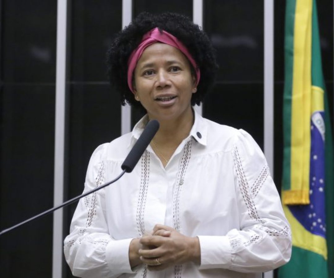 Discussão e votação de propostas legislativas. Dep. Silvia Cristina (PP - RO)