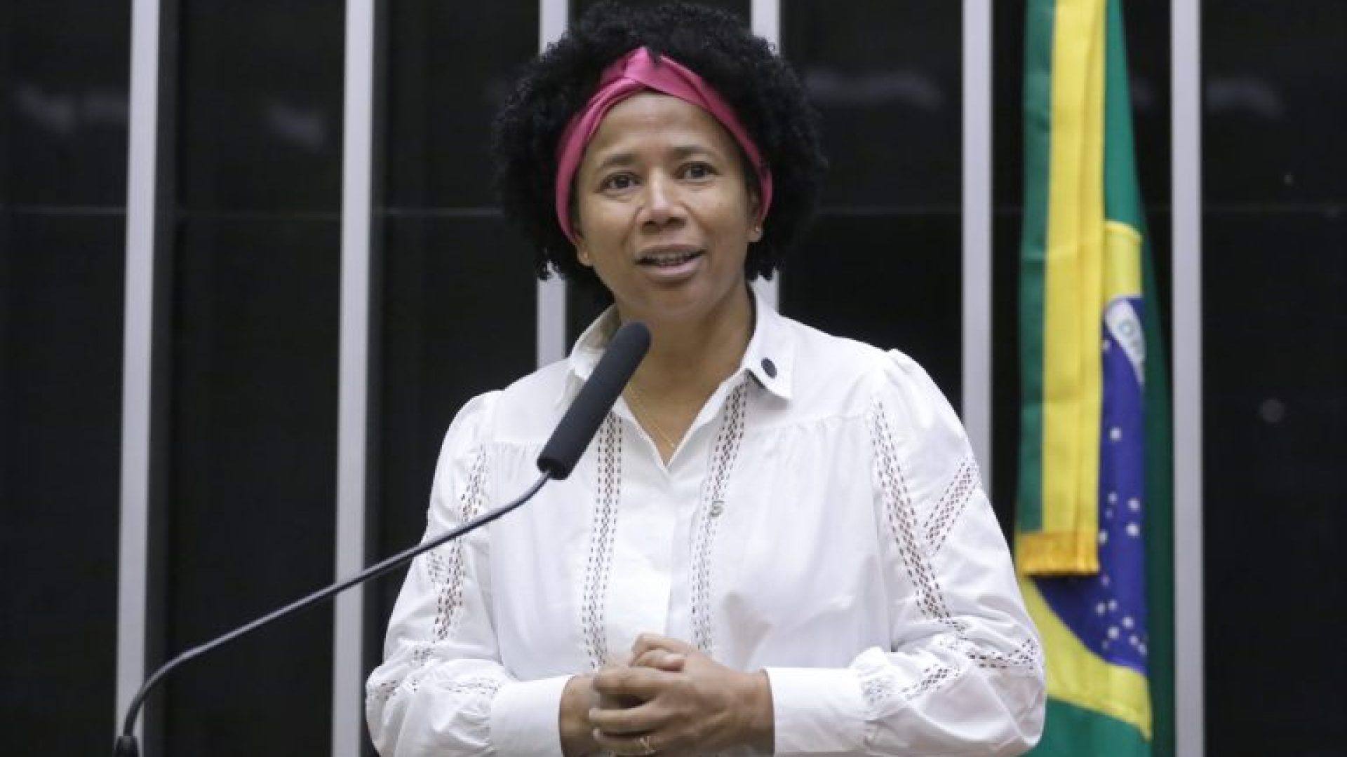Discussão e votação de propostas legislativas. Dep. Silvia Cristina (PP - RO)
