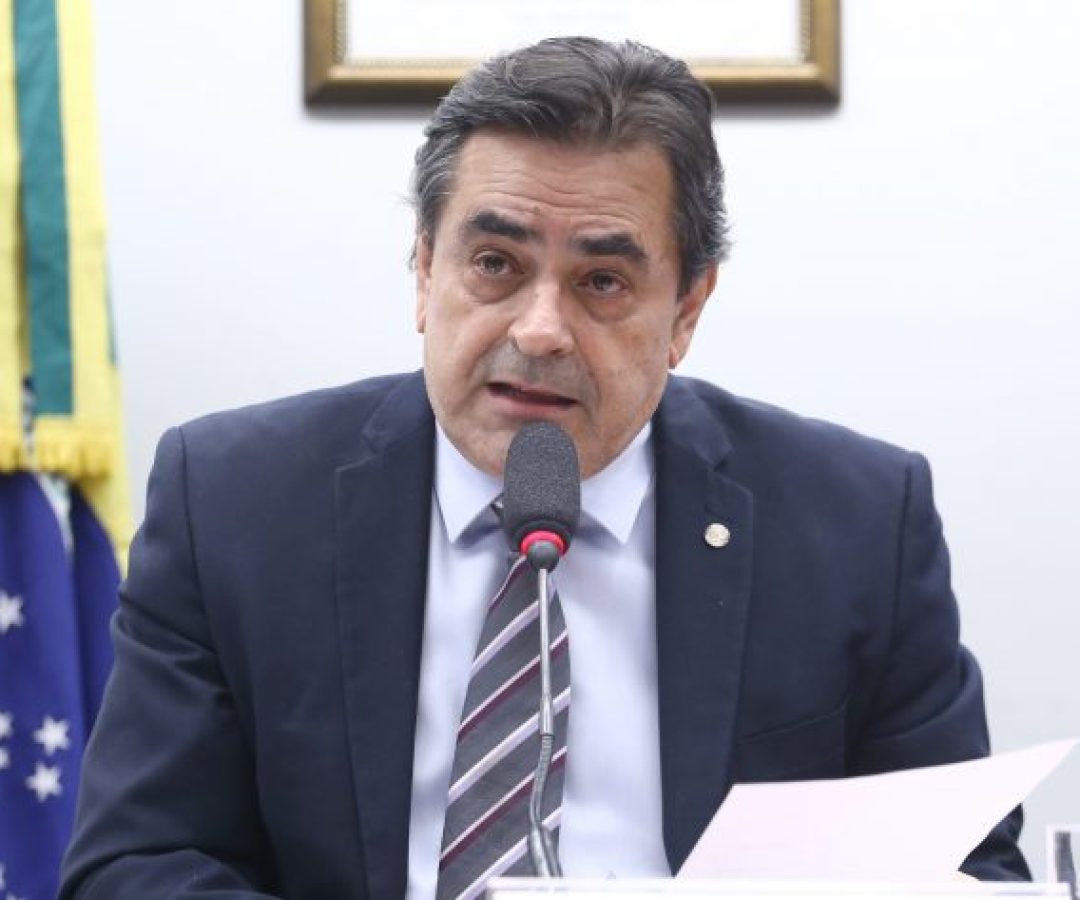 Audiência Pública - Ferrovia Centro-Atlântica. Dep. Domingos Sávio (PL-MG)