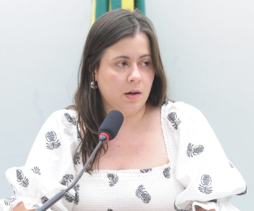 Audiência Pública - Papel das normas infralegais na proteção de crianças e adolescentes. Dep. Sâmia Bomfim (PSOL - SP)