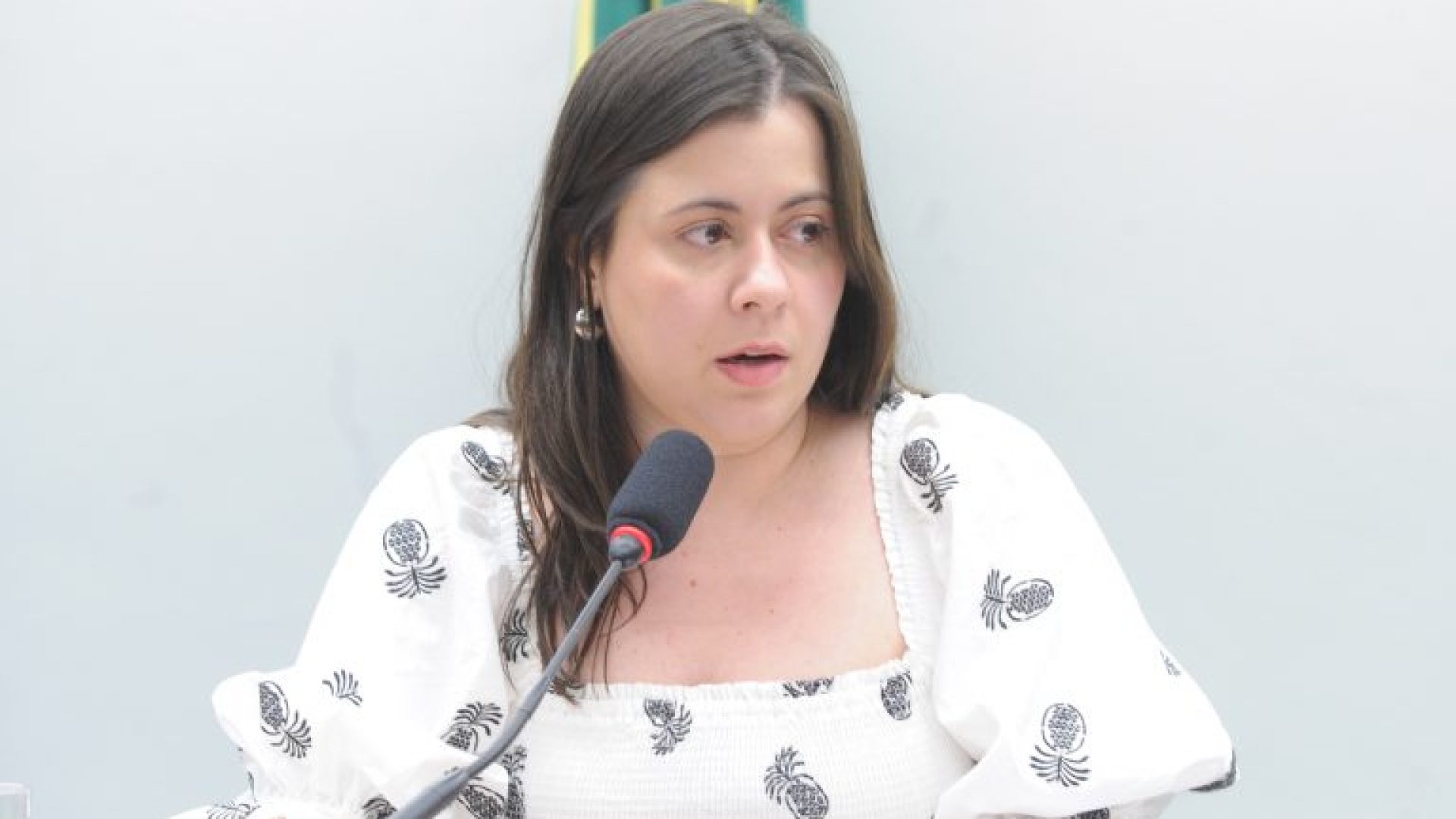 Audiência Pública - Papel das normas infralegais na proteção de crianças e adolescentes. Dep. Sâmia Bomfim (PSOL - SP)