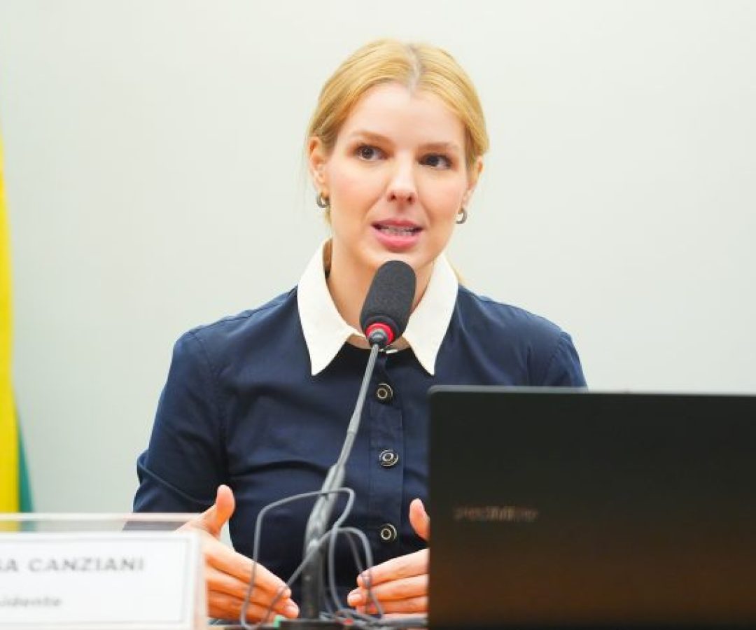 Audiência Pública - Sistemas de IA, IA no serviço público e em infraestruturas críticas.  Dep. Luísa Canziani (PSD - PR)