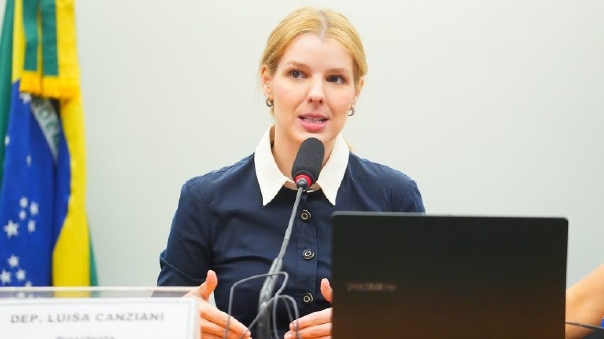 Audiência Pública - Sistemas de IA, IA no serviço público e em infraestruturas críticas.  Dep. Luísa Canziani (PSD - PR)