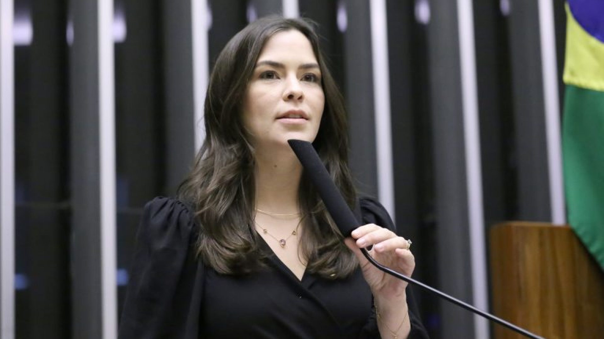 Discussão e votação de propostas legislativas. Dep. Maria Arraes (SOLIDARIEDADE - PE)