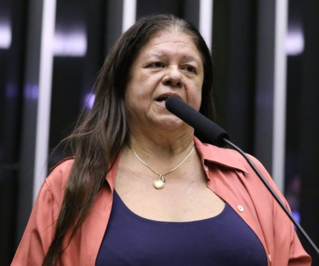 Discussão e votação de propostas legislativas. Dep. Laura Carneiro (PSD-RJ)