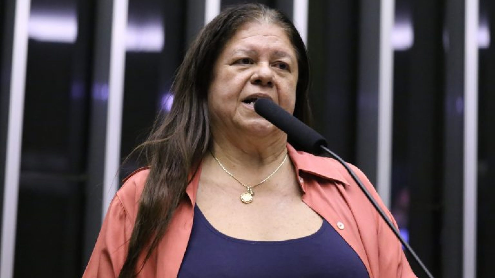 Discussão e votação de propostas legislativas. Dep. Laura Carneiro (PSD-RJ)