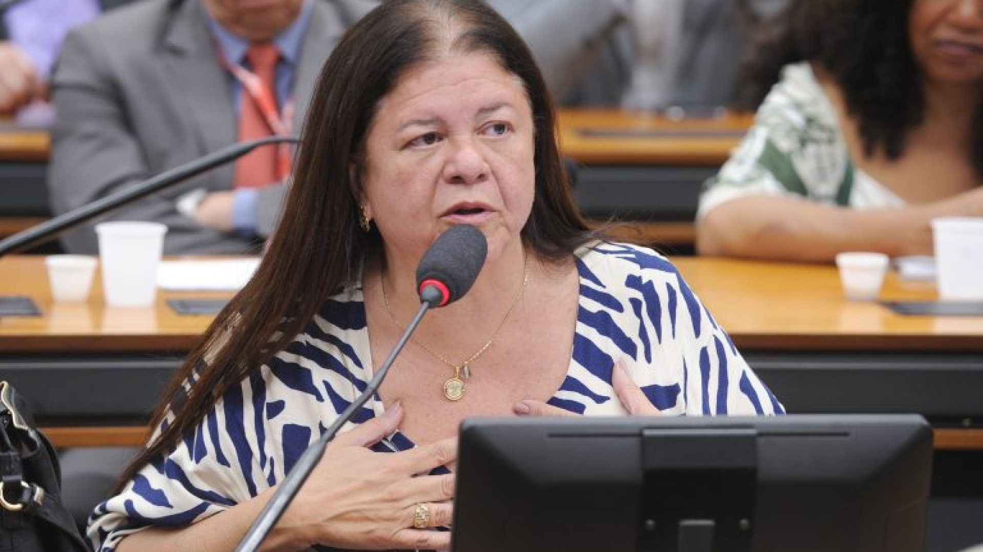 Audiência Pública - Sistema Penitenciário e atuação de organizações criminosas em presídios. Dep. Laura Carneiro (PSD - RJ)