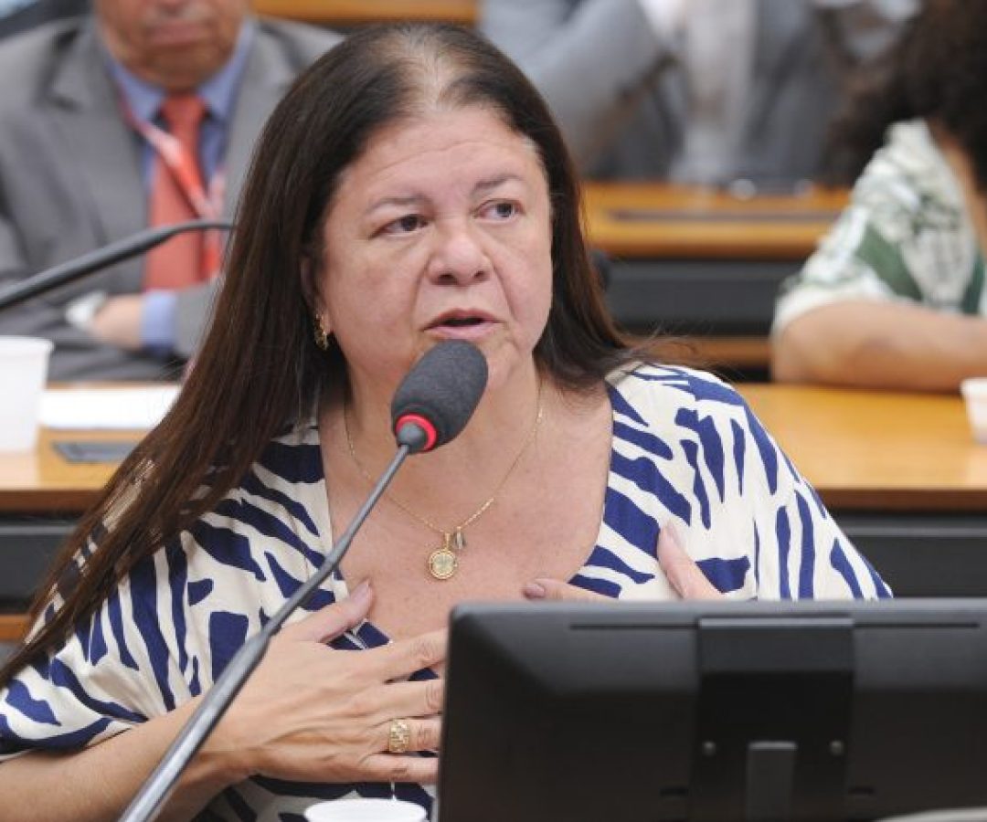 Audiência Pública - Sistema Penitenciário e atuação de organizações criminosas em presídios. Dep. Laura Carneiro (PSD - RJ)