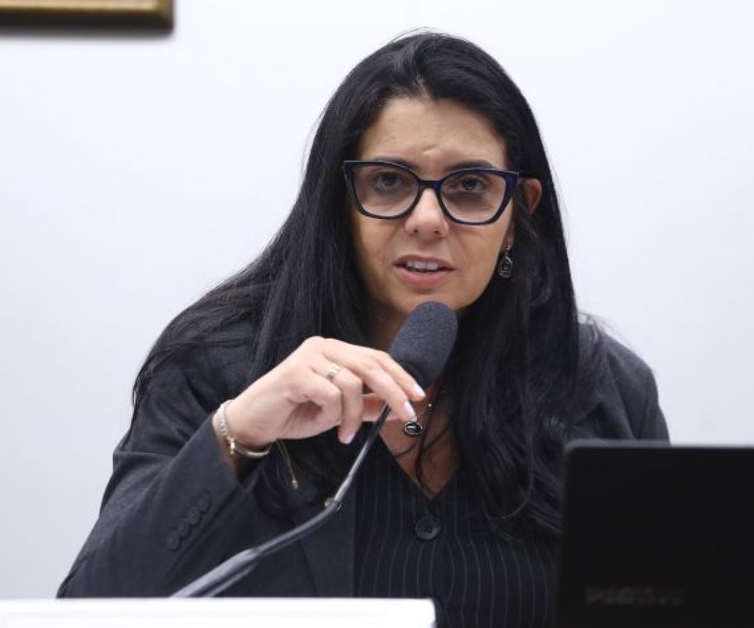Audiência Pública - Influenciador mirim trabalho infantil digital. Dep. Delegada Ione (AVANTE - MG)