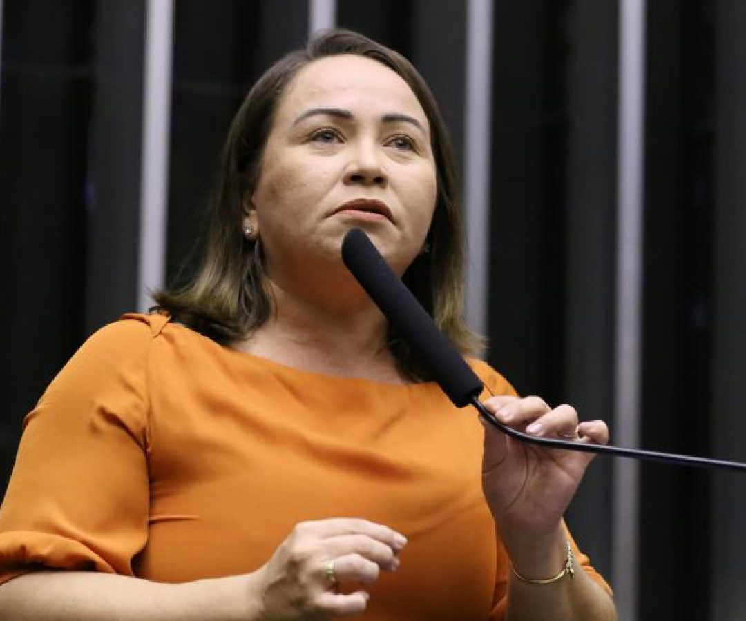 Discussão e votação de propostas legislativas. Dep. Enfermeira Ana Paula (PODE-CE)