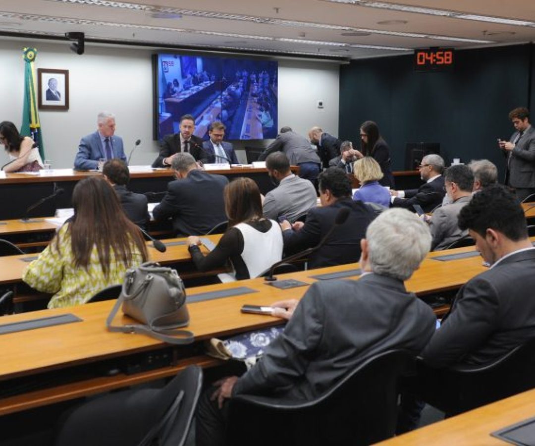 Audiência Pública - Impactos econômicos, sociais e de saúde pública relacionados ao mercado ilegal de bebidas