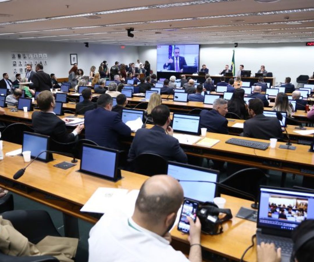 Leitura, discussão e votação de pareceres preliminares.